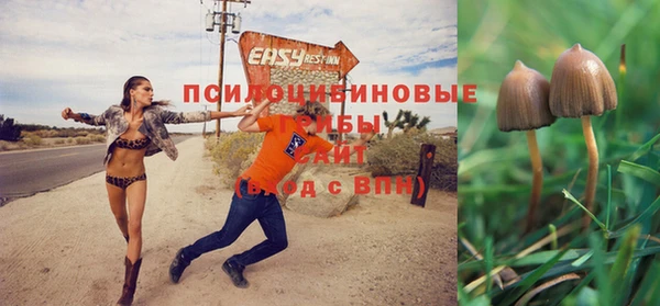 мдма Осинники